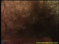 Crazy Monster Cock Hard Fuck 4